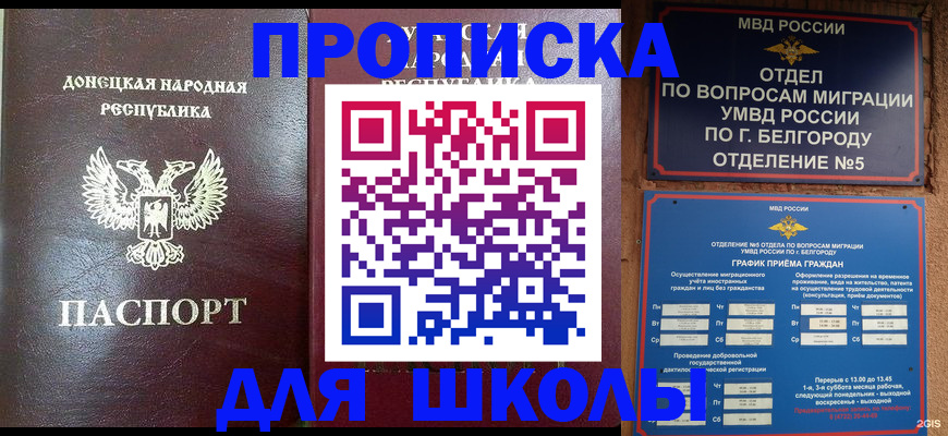 прописка для работы в Плавске